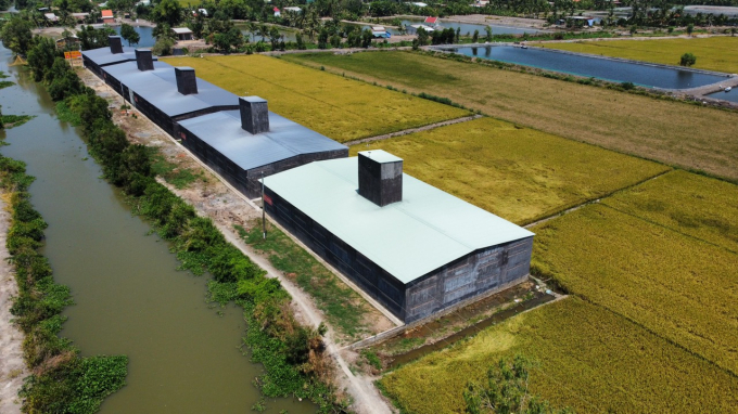 Khu nhà yến của Công ty Trí Sơn tại huyện Cai Lậy. Ảnh: Trần Trung.