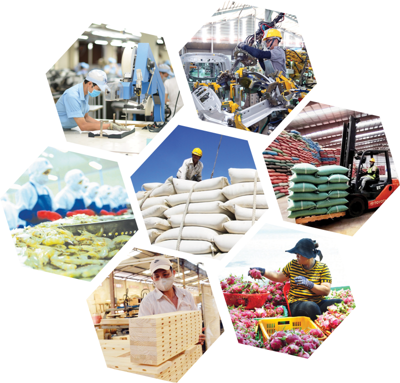 Nhiều mặt hàng xuất khẩu đứng top đầu thế giới nhưng không có nhiều sản phẩm được gắn thương hiệu doanh nghiệp Việt.