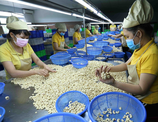 Tìm cơ hội xuất khẩu hàng Việt sang các thị trường mới - Ảnh 2.