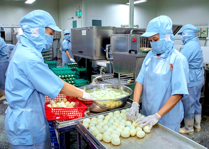 Không vào được Mỹ, trứng gà Việt Nam đã ‘lên bàn ăn’ thị trường khác bằng cách nào?