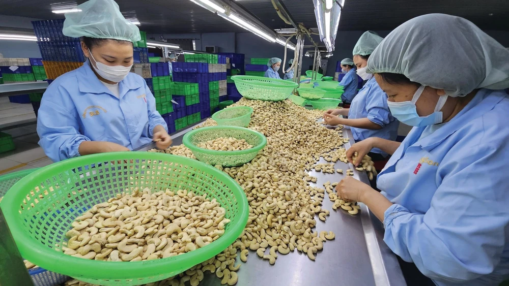 Nông sản – thực phẩm Việt Nam xuất khẩu sang EU trước báo động đỏ