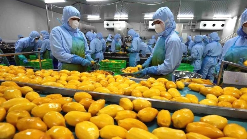 Nhiều dư địa để Việt Nam tăng xuất khẩu nông sản, thực phẩm sang thị trường Anh