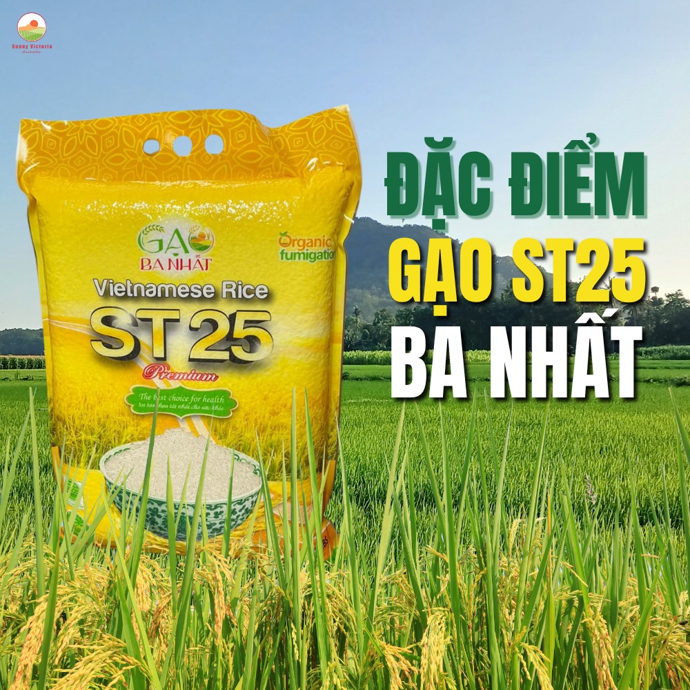 Giới thiệu NTB SUNNY FOOD