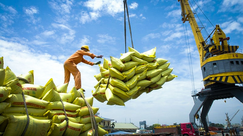 Bộ Công Thương: Tăng cường giải pháp thúc đẩy sản xuất, xuất khẩu gạo, ổn định thị trường trong nước