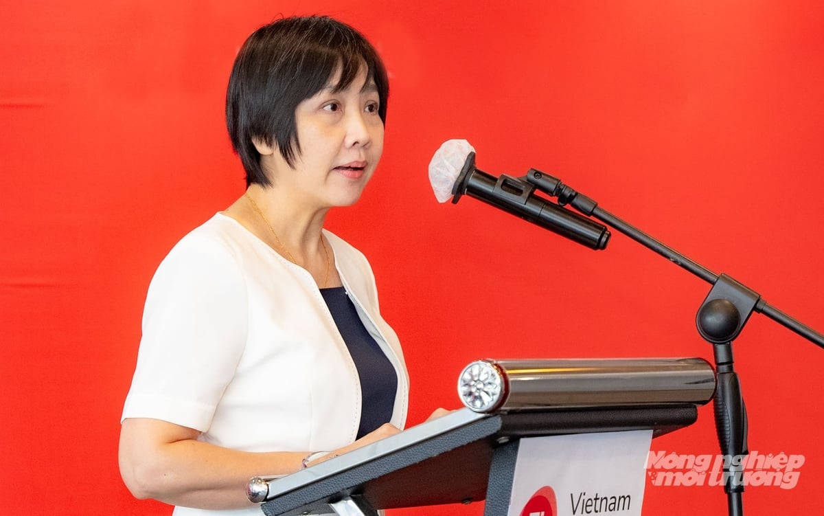 PGS.TS Hoàng Kim Anh, Ủy viên Ban Thường vụ Hội Khoa học và Công nghệ Lương thực - Thực phẩm Việt Nam. Ảnh: Nguyễn Thủy. PGS.TS Hoàng Kim Anh, Ủy viên Ban Thường vụ Hội Khoa học và Công nghệ Lương thực - Thực phẩm Việt Nam. Ảnh: Nguyễn Thủy.